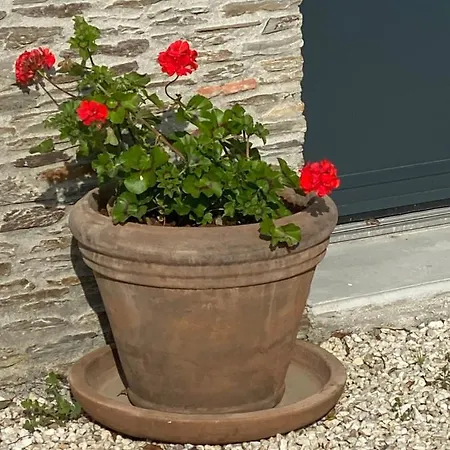 לינה וארוחת בוקר Celine Et Olivier פורניק