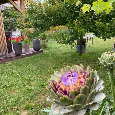 Celine Et Olivier לינה וארוחת בוקר פורניק