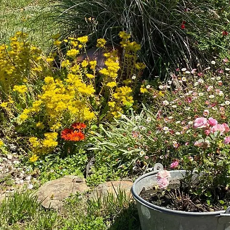 לינה וארוחת בוקר Celine Et Olivier פורניק