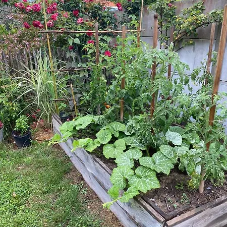 Celine Et Olivier לינה וארוחת בוקר פורניק