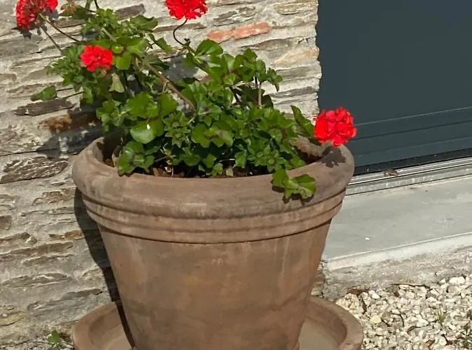 Bed & Breakfast Céline Et Olivier Pornic