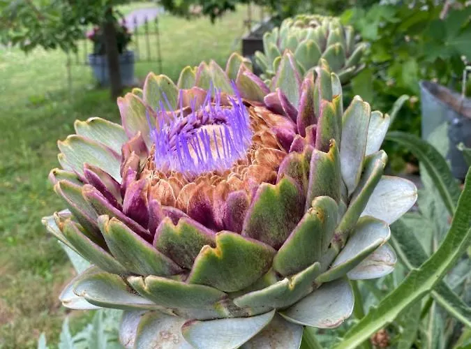 Céline Et Olivier 3*