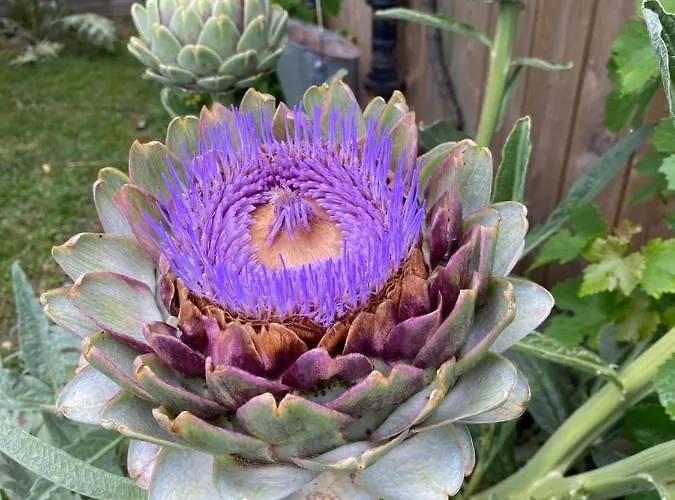 Céline Et Olivier 3*