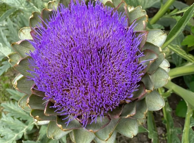 Bed & Breakfast Céline Et Olivier Pornic