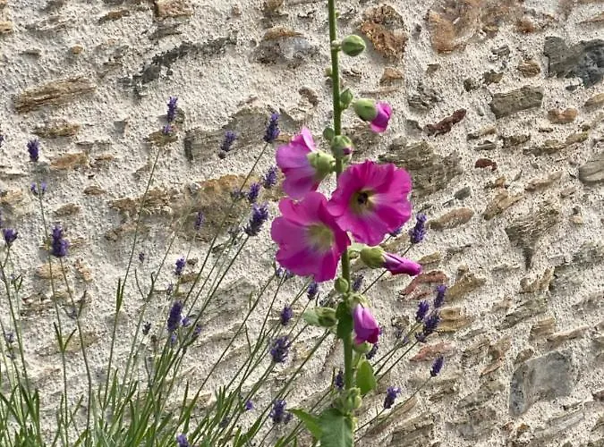 Bed & Breakfast Céline Et Olivier 3*