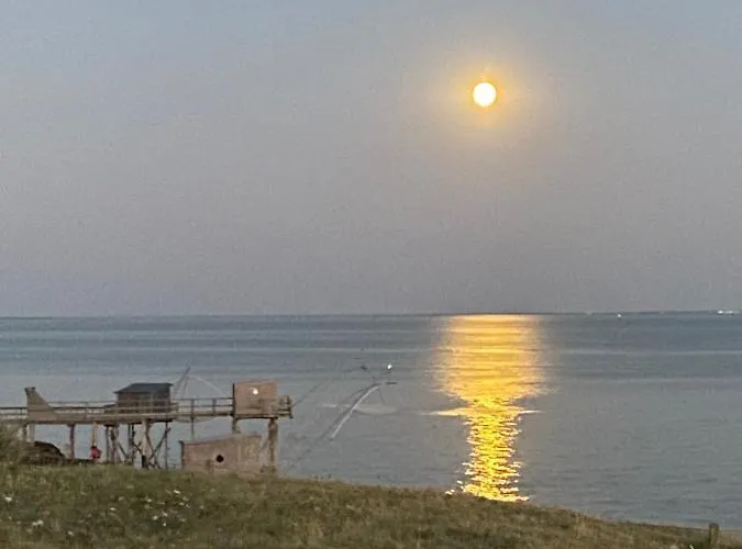 Céline Et Olivier Pornic