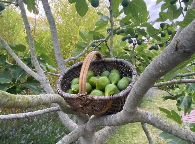 Bed & Breakfast Céline Et Olivier 3*