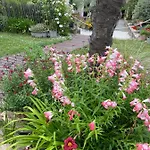 Celine Et Olivier Bed & Breakfast Pornic