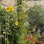 Bed & Breakfast Celine Et Olivier