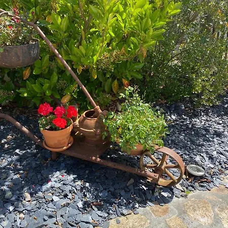 Alojamento de Acomodação e Pequeno-almoço Celine Et Olivier 3*