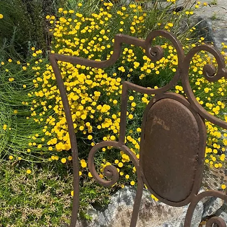 Céline Et Olivier Pornic
