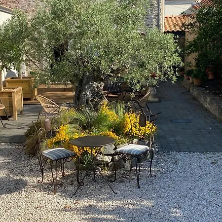 Céline Et Olivier 3*