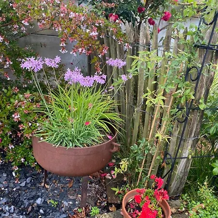 Céline Et Olivier 3* Pornic