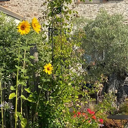 Alojamento de Acomodação e Pequeno-almoço Celine Et Olivier