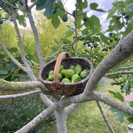 Bed & Breakfast Celine Et Olivier *