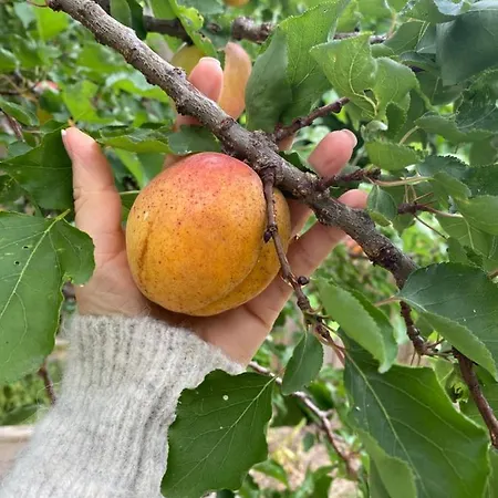 Bed & Breakfast Celine Et Olivier