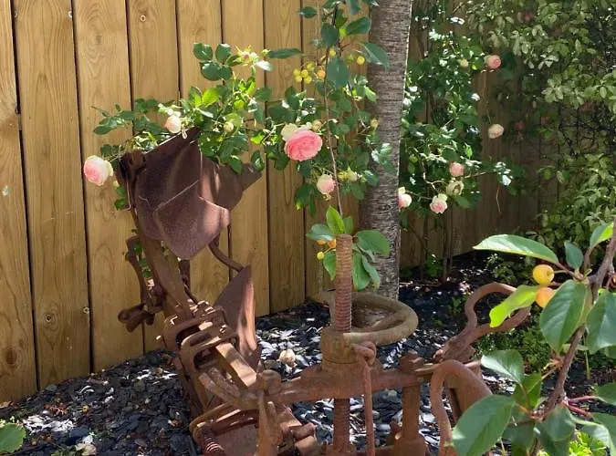 Celine Et Olivier 3*