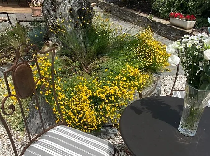 Bed & Breakfast Celine Et Olivier