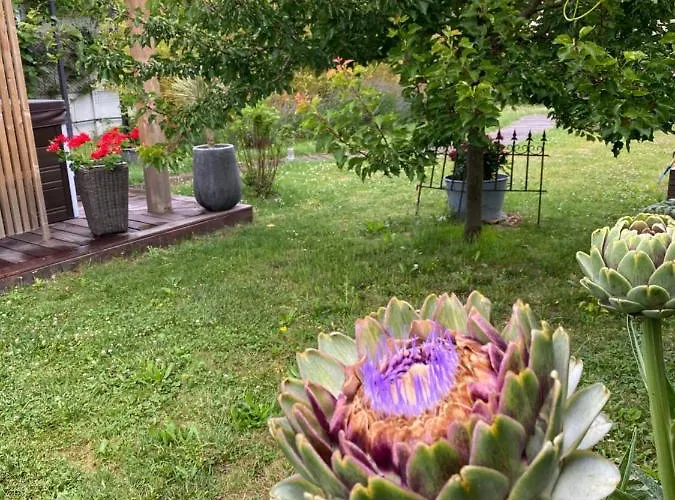 Celine Et Olivier Отель типа 