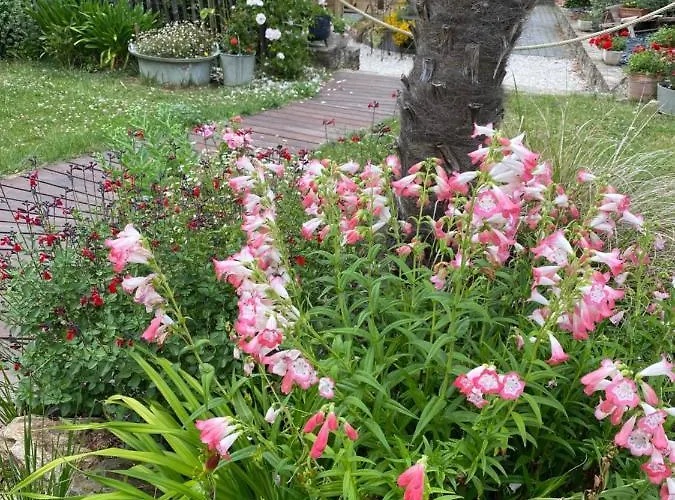 Celine Et Olivier Отель типа 