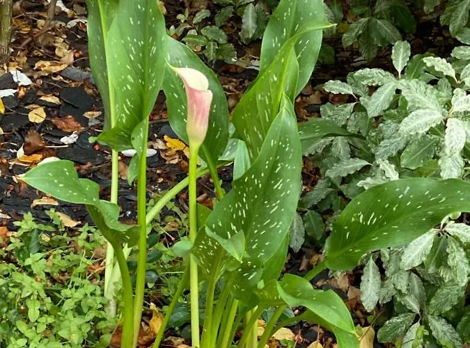 Bed & Breakfast Celine Et Olivier