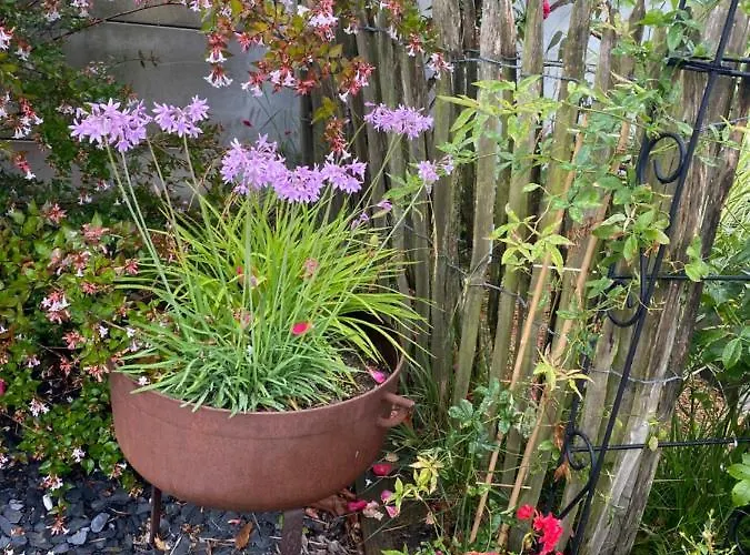 Celine Et Olivier 3* Порник