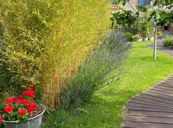 Celine Et Olivier 3* Pornic