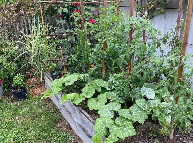 Celine Et Olivier Отель типа 