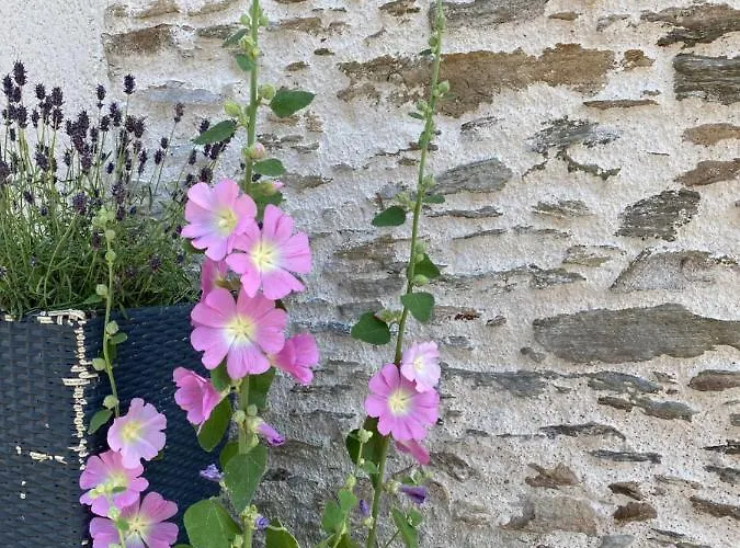 Celine Et Olivier Pornic