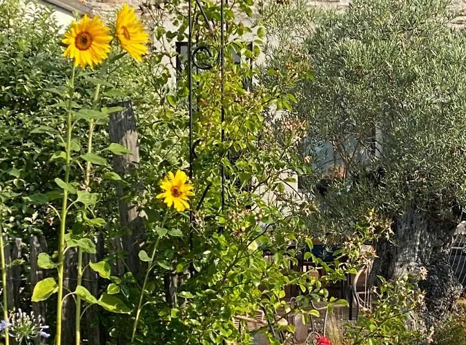 Bed & Breakfast Celine Et Olivier