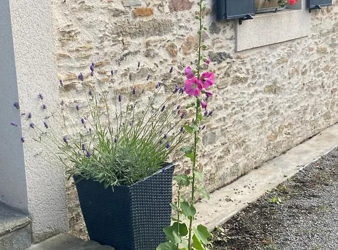 Celine Et Olivier Bed & Breakfast 3*