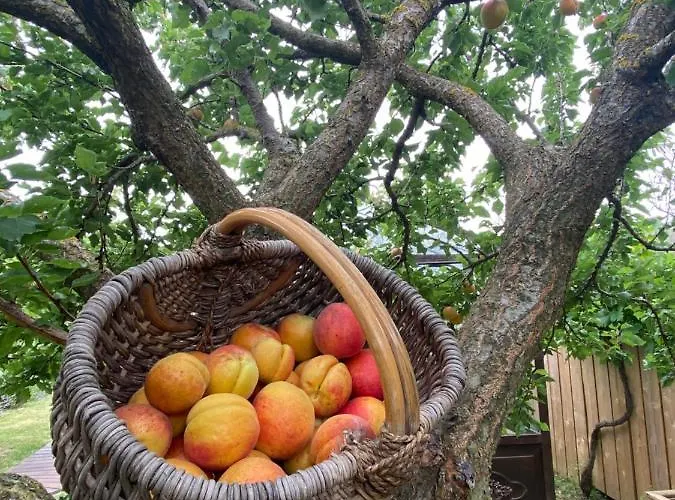 Bed & Breakfast Celine Et Olivier