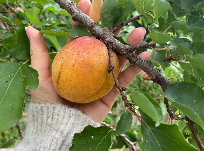 Bed & Breakfast Celine Et Olivier