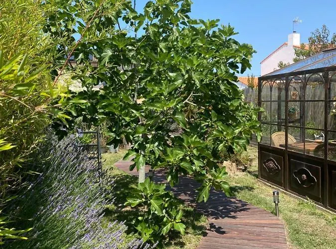 Celine Et Olivier 3* Pornic